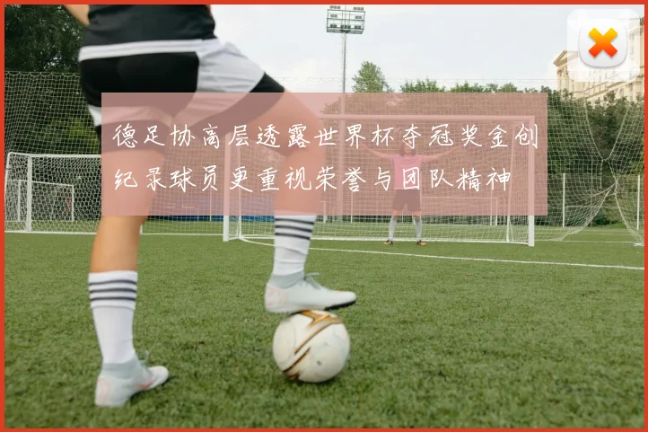 德足协高层透露世界杯夺冠奖金创纪录球员更重视荣誉与团队精神